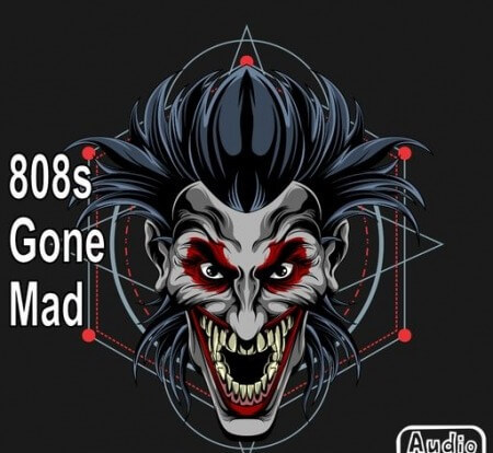 AudioFriend 808s Gone Mad WAV
